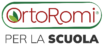 Ortoromi